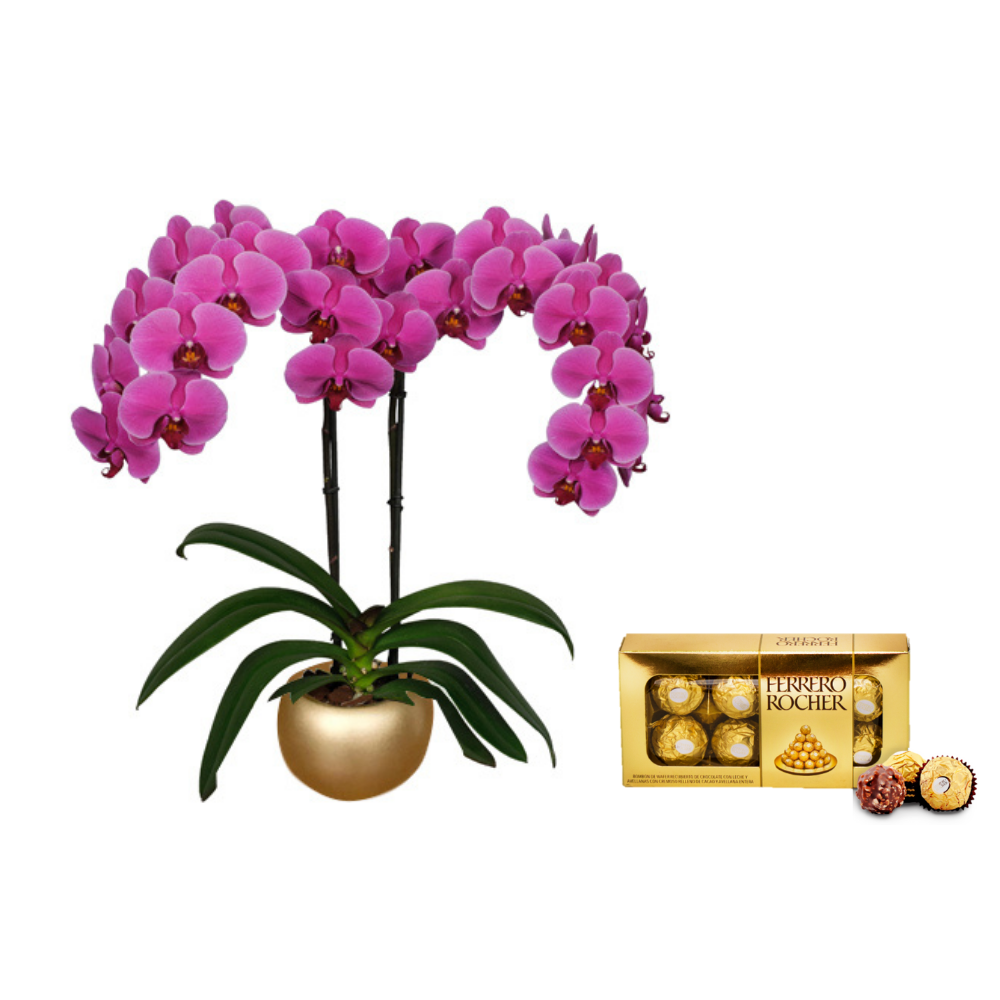 KIT AMARTE DELUXE: ORQUIDEA + CHOCOLATES FERRERO + MATERA CERAMICA