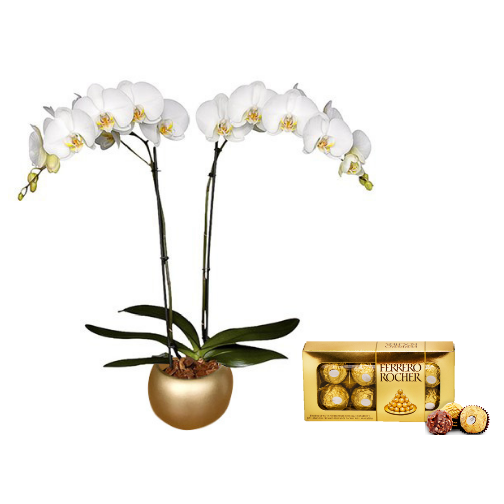 KIT AMARTE DELUXE: ORQUIDEA + CHOCOLATES FERRERO + MATERA CERAMICA