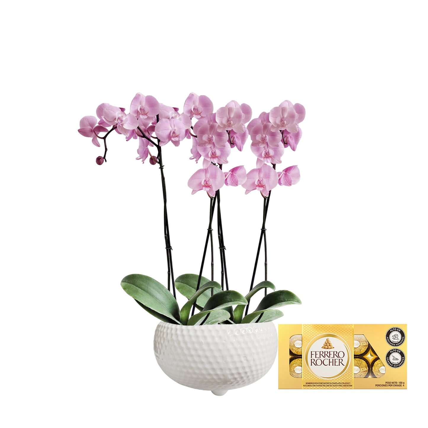 ORQUIDEA CUATRO TALLOS ROSADA MATERA CERÁMICA BOWL PANAL(AMC)